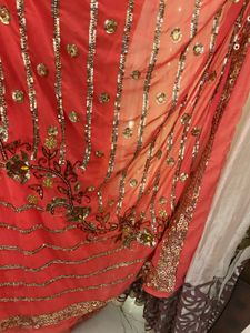 Elegant Coral Saree