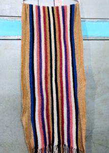 Striped Multicolor Scarf