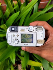 SONY CYBERSHOT DSC-P31 Digital Camera