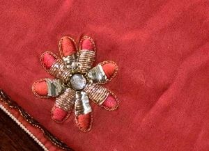 Coral Embellished Saree with Blouse