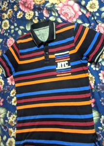 Moda Rapido Pure Cotton Polo Tshirt For Men