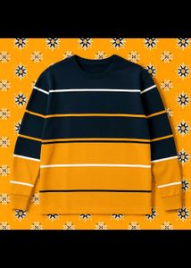 Striped T-Shirt full sleeves