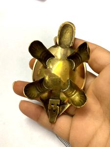 Wish Tortoise