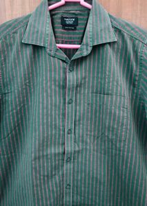 TURTLE Striped Shirt