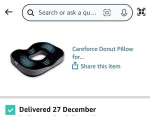 Careforce Donut Cushion Pillow