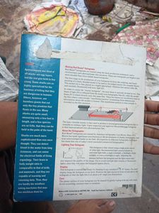 Vintage Holographic Shark Book