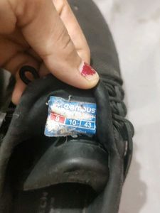 Sports Shoes