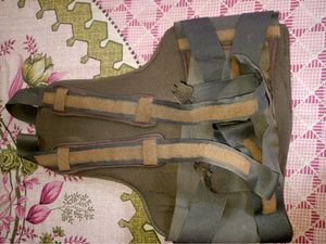 Backbone Belt For Spine (Women And Men)