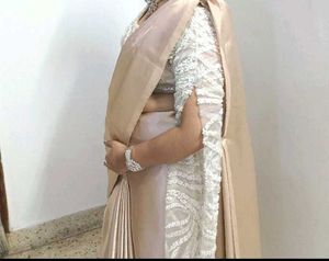 Elegant Beige Saree ready to wear