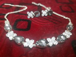 Elegant Silver Tone Necklace & Earrings Set