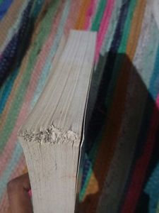 The Cruel Prince