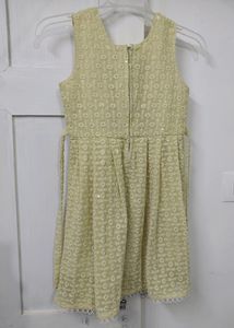 Beautiful Chickenkari Frock