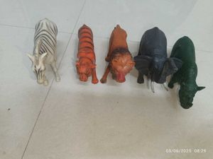 Animals( Set Of 5)/ Strong Quality