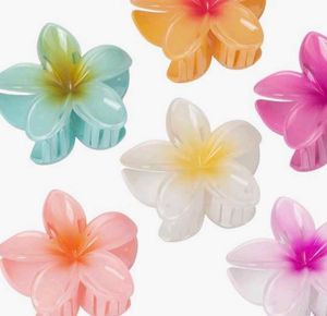 Butterfly And Floral Hair Clips