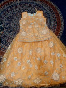 Orange Ghagra Choli