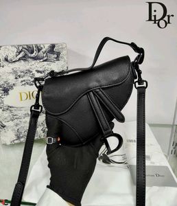 Dior saddle