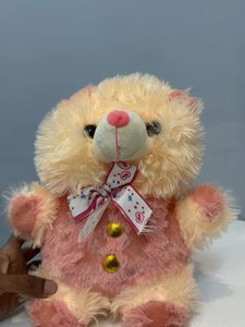 Cute Teddy Bear