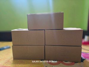 Moving Boxes - Set of 5