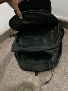 Flamingo&#39;s College/office Backpack