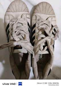 Sparx White Sneaker