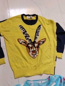 woolen 3 top
