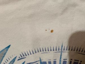 bershka Graphic T-Shirt