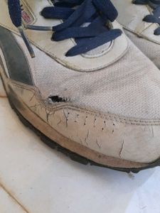 Reebok men&#39;s shoes