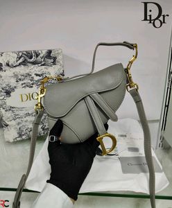 Dior saddle