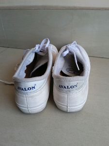 Avalon School Shoes