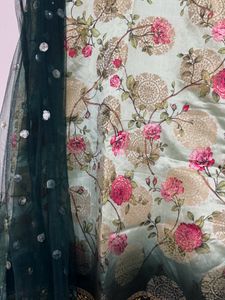 Green Sharara