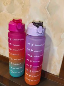 Motivational Water Bottle Set Of 2