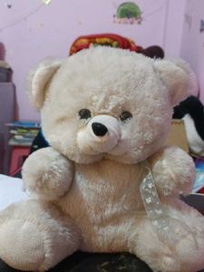 Cute Cream Teddy Bear