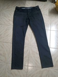 Branded Pant