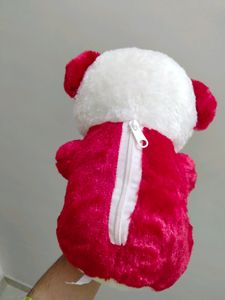 Beautiful Teddy Bear