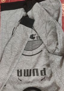 Grey Sweater