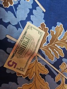 5 US Dollar 2013 Series