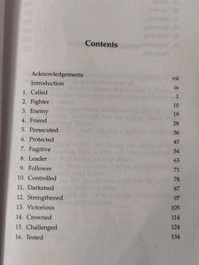 The Story of David by Ian Coffey