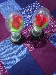 Rose Dome Decorations