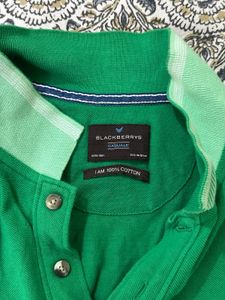 Green Striped T-Shirt