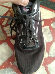 campus sports shoes