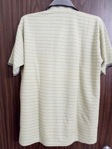 PISTA COLOUR TYPE TSHIRT 💚