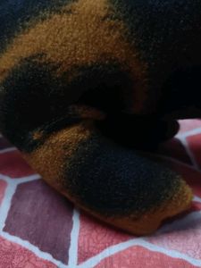 Vintage Plush Dog