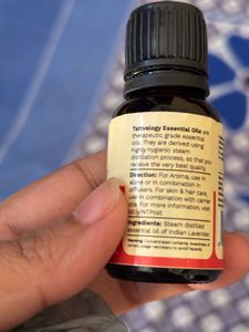 Lavender Essential Oil