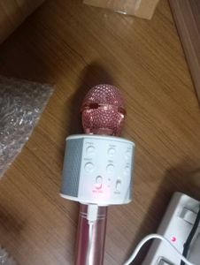 Handheld Wireless Microphone Hifi Speaker