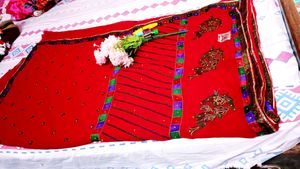 Elegant Floral Saree 2