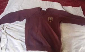 Burgundy V-Neck Sweatshirt
