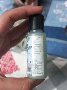 Alphavedic Blueberry Bodywash