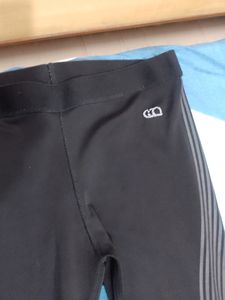 Track Pant