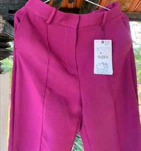 Purple Pant