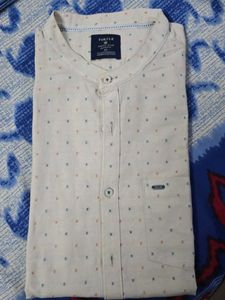 Stylish Turtle Shirt